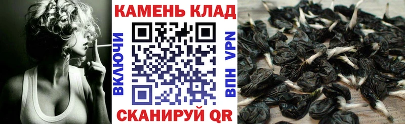 купить наркотик  Чаплыгин  MEGA tor  ГАШИШ хэш 