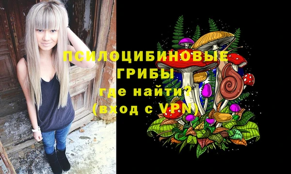 мет Долгопрудный