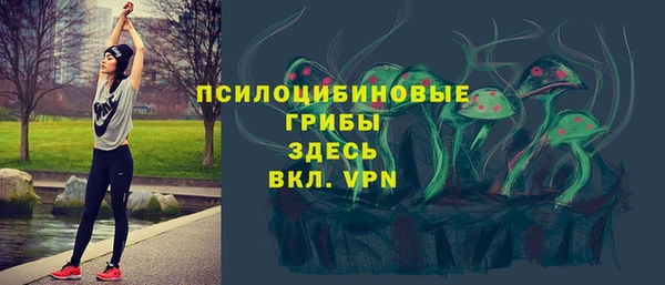 МДМА Лагань